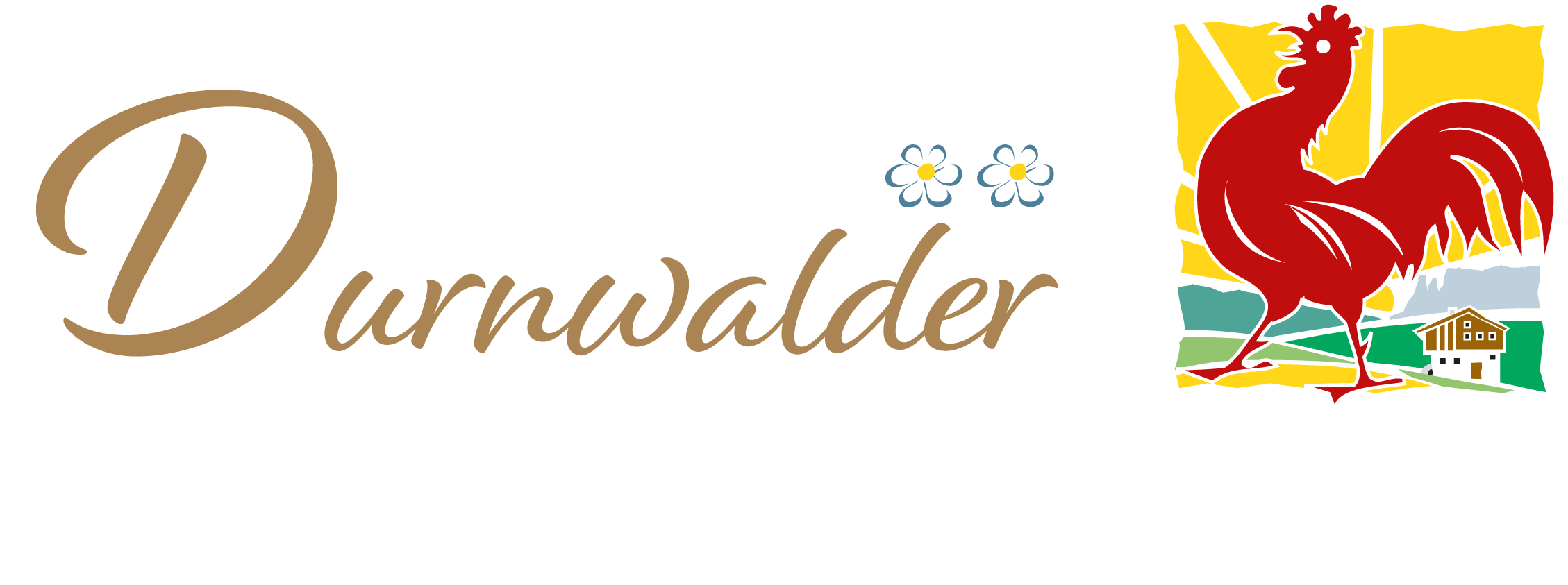 Logo-App-Durnwalder